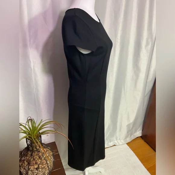 Felicity & Coco Ward Seamed Pencil Dress
( Worn Once ) - Picture 7 of 14